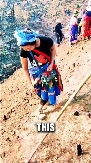 Discover How Farmers Grow Rice Without Flooded Fields