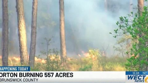 Orton Plantation to conduct prescribed controlled burn | Haystack News