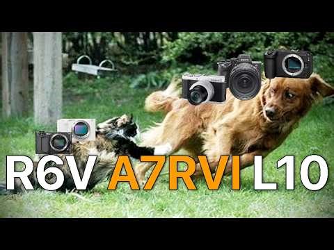 Canon R6V, Sony A7R VI, Panasonic L10 (3 PROBLEMS 2 SOLUTIONS)