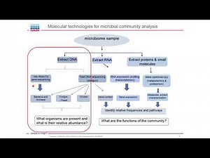 Common challenges and solutions in microbiome analysis workflows
