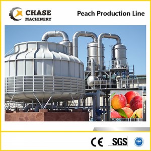 [Hot Item] Mango Pulp/Puree Production Line From Chase Machinery