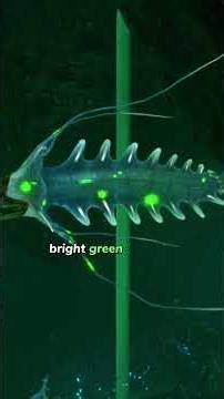 PART 2 | The Kharaa Bacterium EXPLAINED | Subnautica #kharaa #horrorstories #subnautica