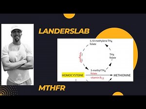 MTHFR Gene Mutation