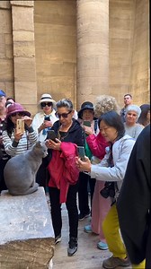 The most famous cat in Egypt Cat of Philae temple in Aswan أشهر قط في مصر. قط معبد فيله سوبر ستار ما شاء الله | احلى اماكن الخروج فى مصر مع 99Travel