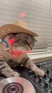 Seventies Time-Machine on Reels