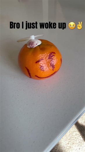 Why is Bro staring directly at the window like that 🫩✌️😭￼#funny #fyp #trending