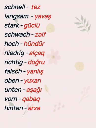 Alman dili öyrənək on TikTok