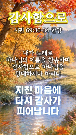 감사함으로🌿 | 말씀찬양 | 지친 마음에 다시 감사가 피어납니다 #성경찬양 #CCM #찬양 #말씀찬양