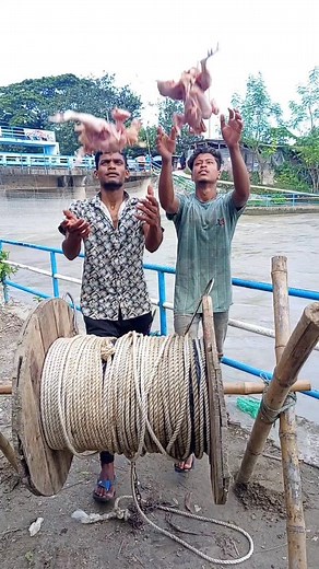 8.1K views · 17 reactions | Whole chicken bait for catching monster-shaped fish in the Padma River #hookfishing #giantfish | Hook Fishing Idea | Facebook