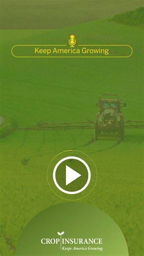 “Having protection helps leverage our risk.” Crop insurance isn’t what it used to be – and that’s a good thing. Today’s program covers more crops, supports farms of all sizes, and delivers faster, more reliable protection. It’s evolved with agriculture. And it’s working. Listen to Tennessee grower John Lee Bagwell on how crop insurance helps his family farm. | Crop Insurance Keeps America Growing