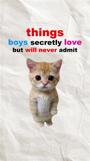 Things boys secretly love but will never admit #kittyexplains #cats #catanimation #kittycat