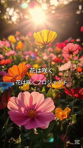 花は咲く ‐花は咲くプロジェクト‐ #歌詞動画 #曲紹介 #おすすめ曲 #平成ソング #東日本大震災 #復興 #3.11 #追悼