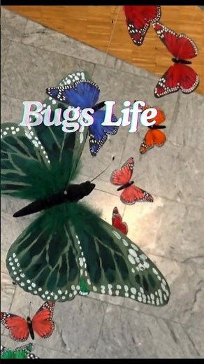 “Bugs Life Fun 🐛 | Watch the Amazing Insect Life Cycle in 48 Seconds!” #shortsfeed