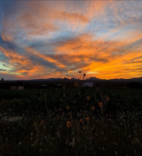 21 reactions | Buenos días para todos mis seguidores que tengan un excelente sábado 鸞 | Corridos para pistear | Facebook