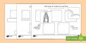 Life Cycle of a Bat Cut and Paste Activity