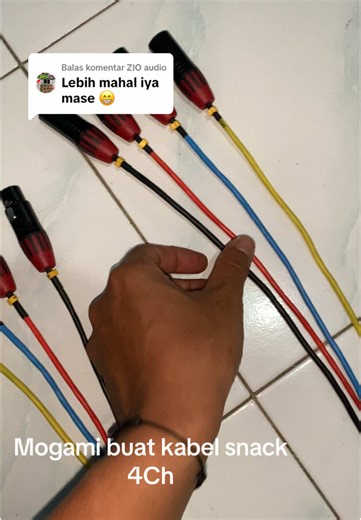 Mogami 4-Channel Snack Cable Review