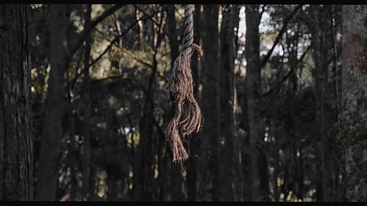 Tragic Bridge to Terabithia Rope Break Scene: Exploring the Heartbreak