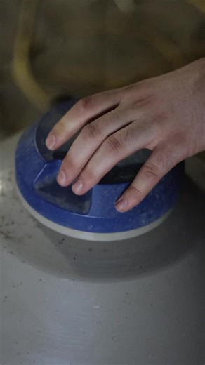 Ride for the brand! This is a pretty simple process and most horses don’t even feel it! We use liquid nitrogen and hold for 20 seconds. The horses munch away on on some grain and make the whole process pretty simple! #t4quarterhorses #reelsvideo #freezebrand #RideForTheBrand | T4 Quarter Horses