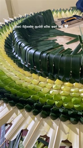 ශ්‍රීපාද දේවාභරණ වඩමවන පෙරහැරට මග දෙපස අලංකාර කරන ප්‍රදේශවාසීන් #sripadaya 2026 #shorts #viral #fyp