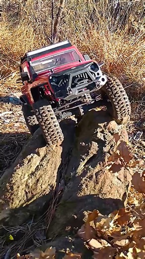 Rocky Pine Forest - FTX Outback Fury 2 upgraded