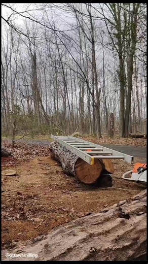 Wood in this video is butternut. Has beautiful grain and colors! This mill from Granberg International has the upgraded quick release and it's totally awesome. No more tools to adjust the thickness of my slabs! Works awesome!! Mill used is the Granberg International mkiv 48" Alaskan mill. The ripping chain is also from granberg Chainsaw is the STIHL #ms881 with 41" bar If you're interested in any Granberg products, mills, chains, etc...., use ottawamilling coupon code at checkout to save 10% of 