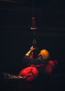 NASA astronauts assess USAF Water Survival Course