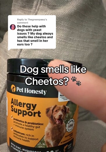 Cheeto Smell in Dogs: Ear Infection Causes & Solutions