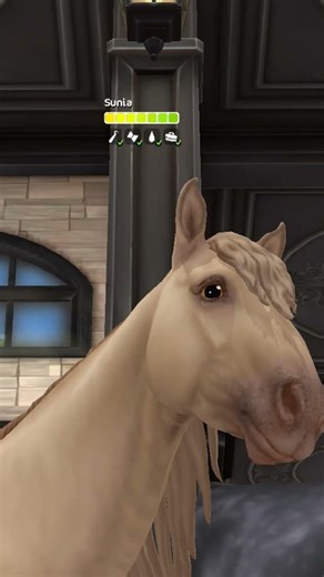 Weird names in sso