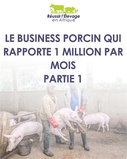LE BUSINESS PORCINE QUI RAPPORTE 1 MILLION PAR MOIS Vidéo complète disponible sur la chaîne YouTube réussir l'élevage en Afrique https://youtu.be/RW1wU5nlslo 𝗗𝗘𝗠𝗔𝗥𝗥𝗘𝗥 𝗨𝗡𝗘 𝗙𝗘𝗥𝗠𝗘 𝗣𝗢𝗥𝗖𝗜𝗡𝗘 Tu veux te lancer dans l’élevage porcin mais tu ne sais pas par où commencer ? Le e-book 𝗗𝗘𝗠𝗔𝗥𝗥𝗘𝗥 𝗨𝗡𝗘 𝗙𝗘𝗥𝗠𝗘 𝗣𝗢𝗥𝗖𝗜𝗡𝗘 est ce qu'il te faut. Je t’y explique pas à pas comment monter ta ferme porcine et faire rapidement du profit. Ce guide est clair, pratique, et va droit