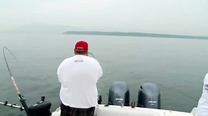 25K views · 274 shares | Fish, after fish, after fish. Mike and his...