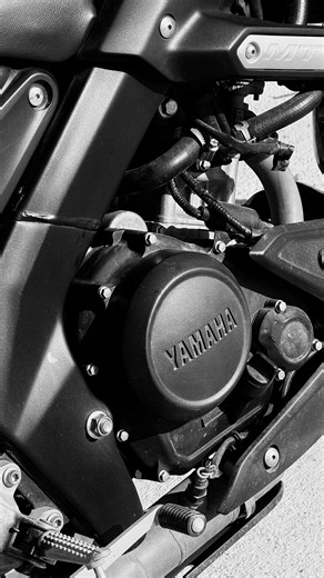 THEO VISUALS on Instagram: "Tyson🦏 . . #cinematicphotography #fypppppppppppppppppppppppppppppppppppppppppppppppppppppppppppppppppppppp #fpyyyyyyyyyyyyyyyyyyyyyyyyyyyyyyyyyyyyyyyyyyyyyyyyyyyyyyyyyyyyyyyyyyyyyyyyyyyyyyyyyyyyyyyyyyyyyyyyyyyyyyyyyyyyyyyyyyyyyyyyyyyyyyyyyyyyyyyyyyyyyyyyyyyý #virelreels #backtoblack"