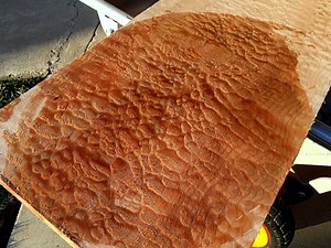 Top 5 Hardwoods In California 2025 - COMMERCIAL FOREST PRODUCTS