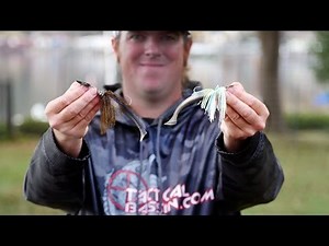 Chatterbait Tricks to Save $$$ and Catch More Fish