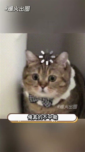 這輩子讀過無數小說首度遇到生理性排斥，這些雷點徹底踩中我的底線！ #小說推薦 #避雷 #閱讀心得 #奇葩劇情 #閱讀障礙