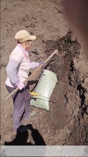 Bagging farmyard manure – good tools make work more efficient.