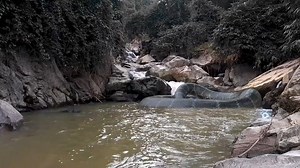 A big snake lives in the rainforest ! | DIY & Crafts