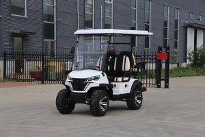 [Hot Item] Hot Sale Mini Electric Golf Buggy Electric Motorcycle Electric Golf Cart 2 Seats Battery Operated Golf Cart