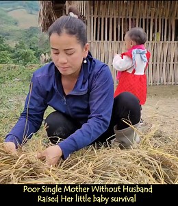 27K views · 758 reactions | Pang Yen Nhi's plan to build a livestock barn has begun, cutting bamboo | Farmlife 360 | Facebook