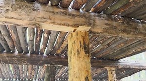 How to build a big SECRET HOUSE for $ 2,000. Alex Wild 30 days in the forest. PART 1-5 Alex Wild | Alex Wild