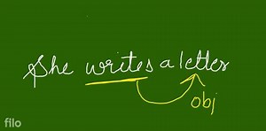 Identify whether the verb in the given sentence is 'Transitive'... | Filo