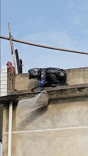 Man Battles Giant Hornet Nest Hundreds of Feet Above Ground 😱🐝 #shorts #shortsviral #short