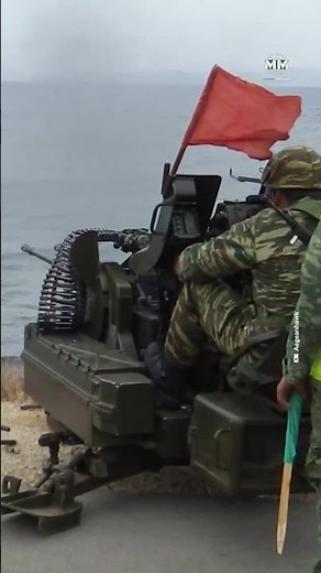 Rheinmetall Rh202: 20mm Autocannon In Action