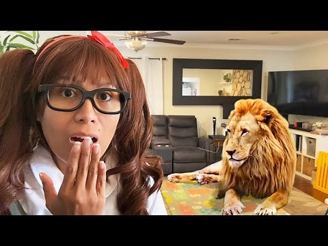 Zoo Animals for Kids | Animal Toys Come Alive!