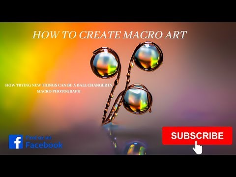 Macro photography bringing macro to the art world.