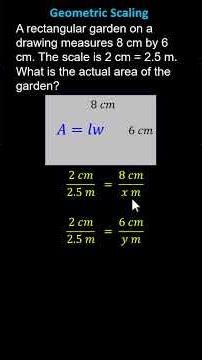 Geometric Scaling: Find the Area of a Scaled Rectangle (7GA1)