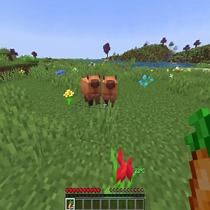 Just 1 Minute of Cute Minecraft Mobs! #minecraft #gaming #cute | Minecraft Daily Videos