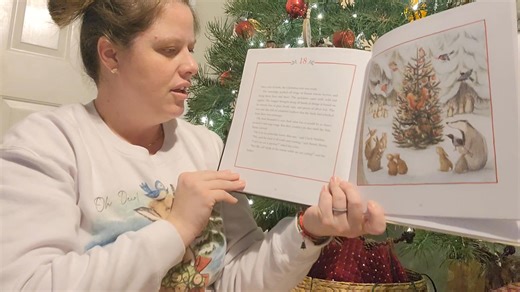 Chapter 18 on December 18th, we're getting close! | Sullivan County Library