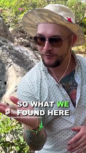 We found the most invasive frog in their natural range . #treefrog #frog #phrog #cuba #herping