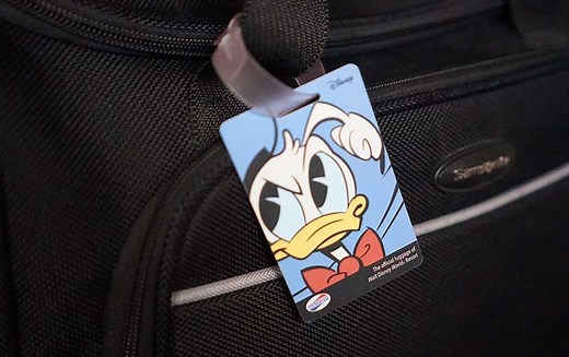 Disney World Packing List (Tips: What to Pack for Disney Trips