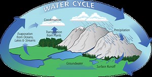 Water Cycle
